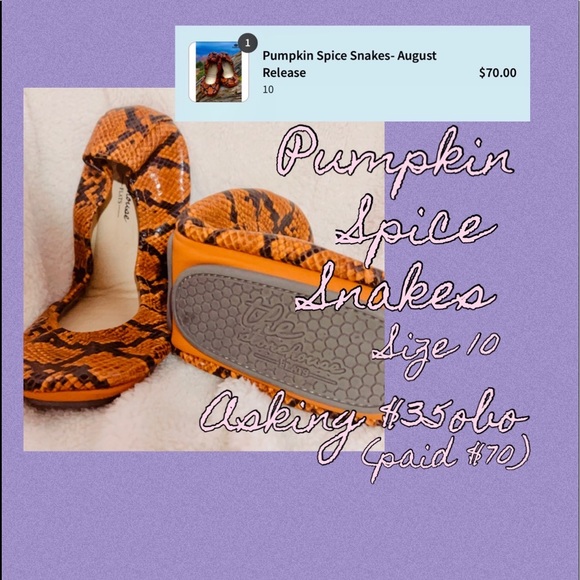 Beautiful(like new/barely worn)Storehouse Flats! Priced to sell! Sizes 10&11😊 - Picture 2 of 9